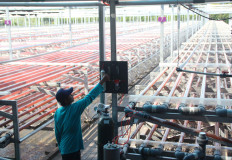 Investors flee Tangerang