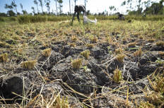 Water crisis strikes nine out of 10 regencies in West Nusa Tenggara
