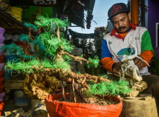 Rudi Eko Prasetyo, 43, creates flower pots out of used baby diapers. 
