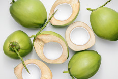 Fresh young coconuts on a white background