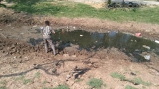 Fishing ponds dry up amid intense dry season in North Jakarta