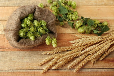 Now is your chance to name Richard Branson’s new brand of pale ale