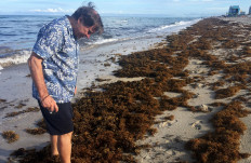 Steve Leatherman, a Florida International University professor of environmental studies also known as 