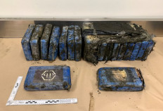 High tide: cocaine haul washes up on New Zealand beach