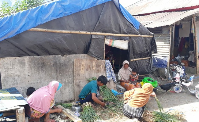 Thousands still homeless in W. Nusa Tenggara, one year after ...