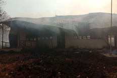 Forest, land fires raze school building in Kalimantan