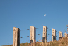 Indigenous peoples injured in clash with state-owned plantation company in N. Sumatra