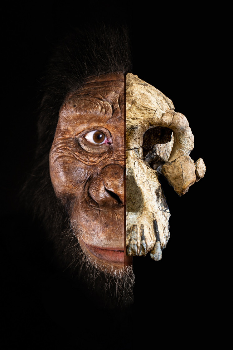 This handout photomontage released by The Cleveland Museum of Natural History on August 28, 2019, shows a partial facial reconstruction of an Australopithecus skull.