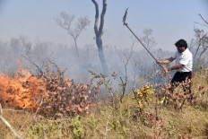 Brazil's burning ban takes effect as Amazon fires rage