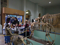 Bogor Zoology Museum: Symbol of national scientific progress celebrates 125th anniversary