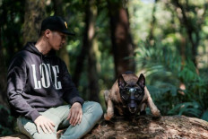 Maid mauled to death by employer's dog in East Jakarta