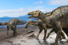 Japanese scientists find new dinosaur species