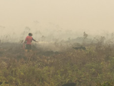 A member of East Tanjungjabung Fire Brigade attempting to put out the fire in Londerang protected peatland forest area. This area had been burnt since last week. 