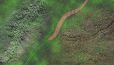 Scientists discover 550m-year-old bilaterian fossil in China