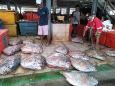 Vendors complain, sales slump while customers cheer on new Muara Baru fish market