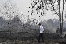 Tourism in crisis: Forest fires cause foreigners to cancel trips