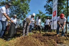 PTPN III obtains US$390.6 million syndicated loan as working capital