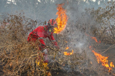 Riau issues emergency alert for wildfires as dry season begins