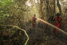 Look at the Amazon, not us: Indonesia claims handling forest fires better than other nations