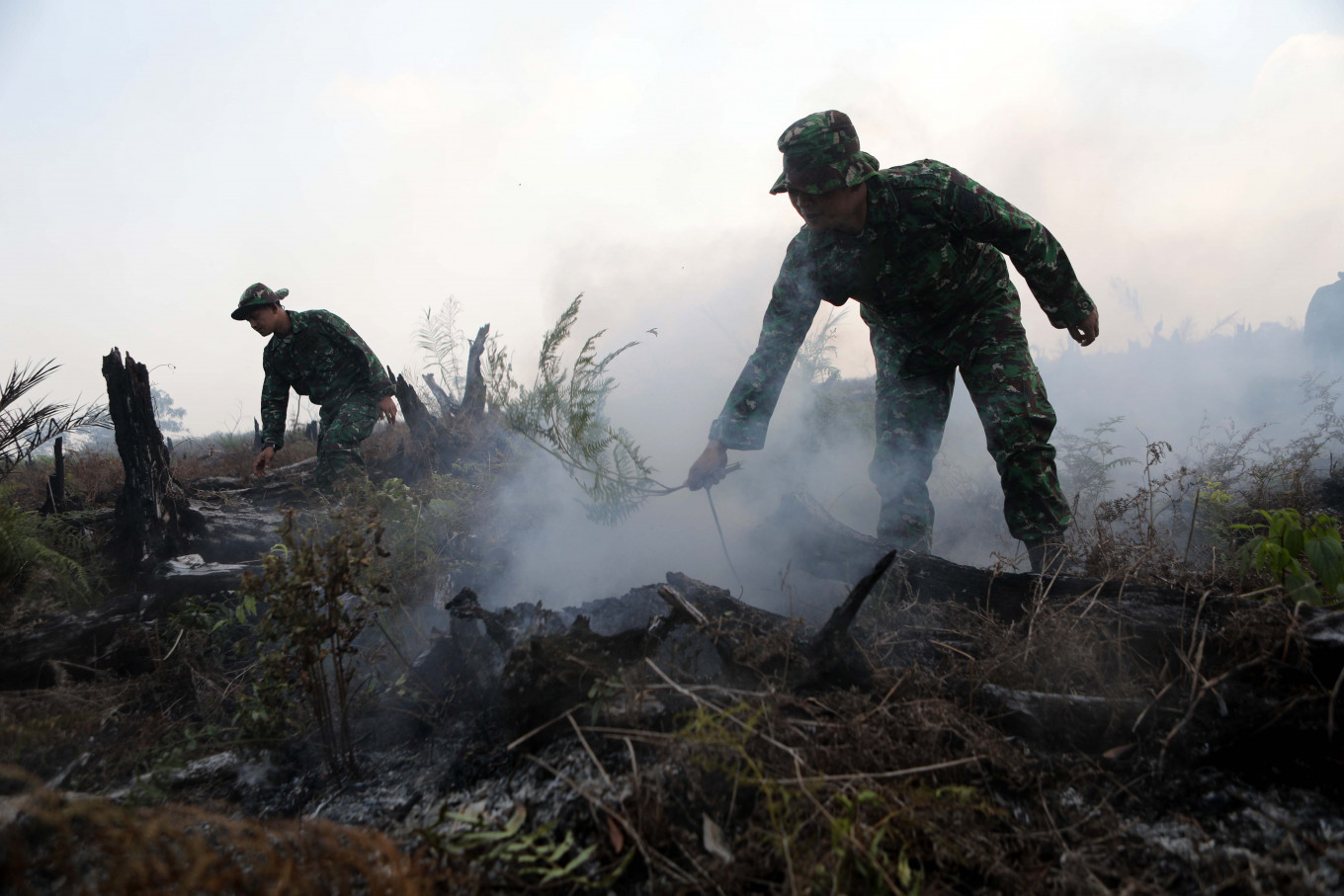 Communities more effective than bans to restore peatlands