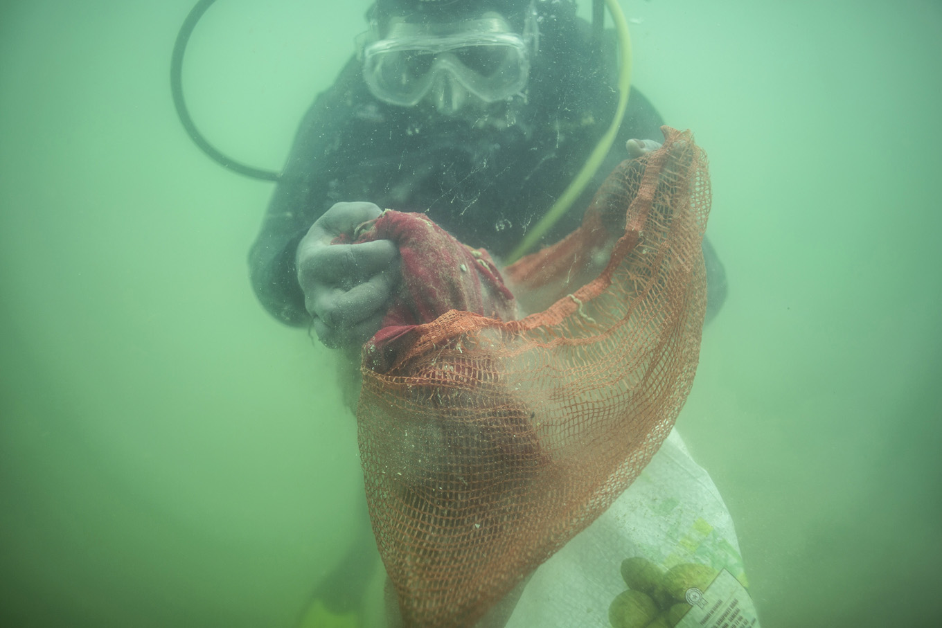 Plastic pollution flowing into oceans to triple by 2040: Study