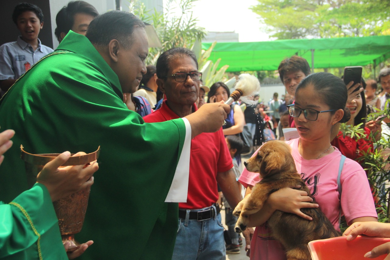 In commemoration of Saint Francis Day, a day to honor the patron saint of animals, St Gabriel Catholic Church in East Jakarta holds an animal blessings ceremony on Sunday.
