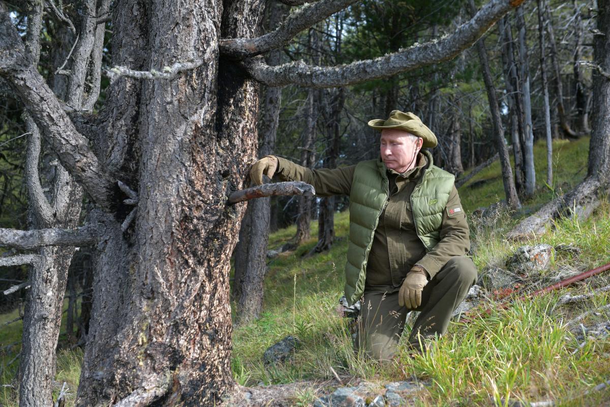  Putin puts on birthday show gathering mushrooms 