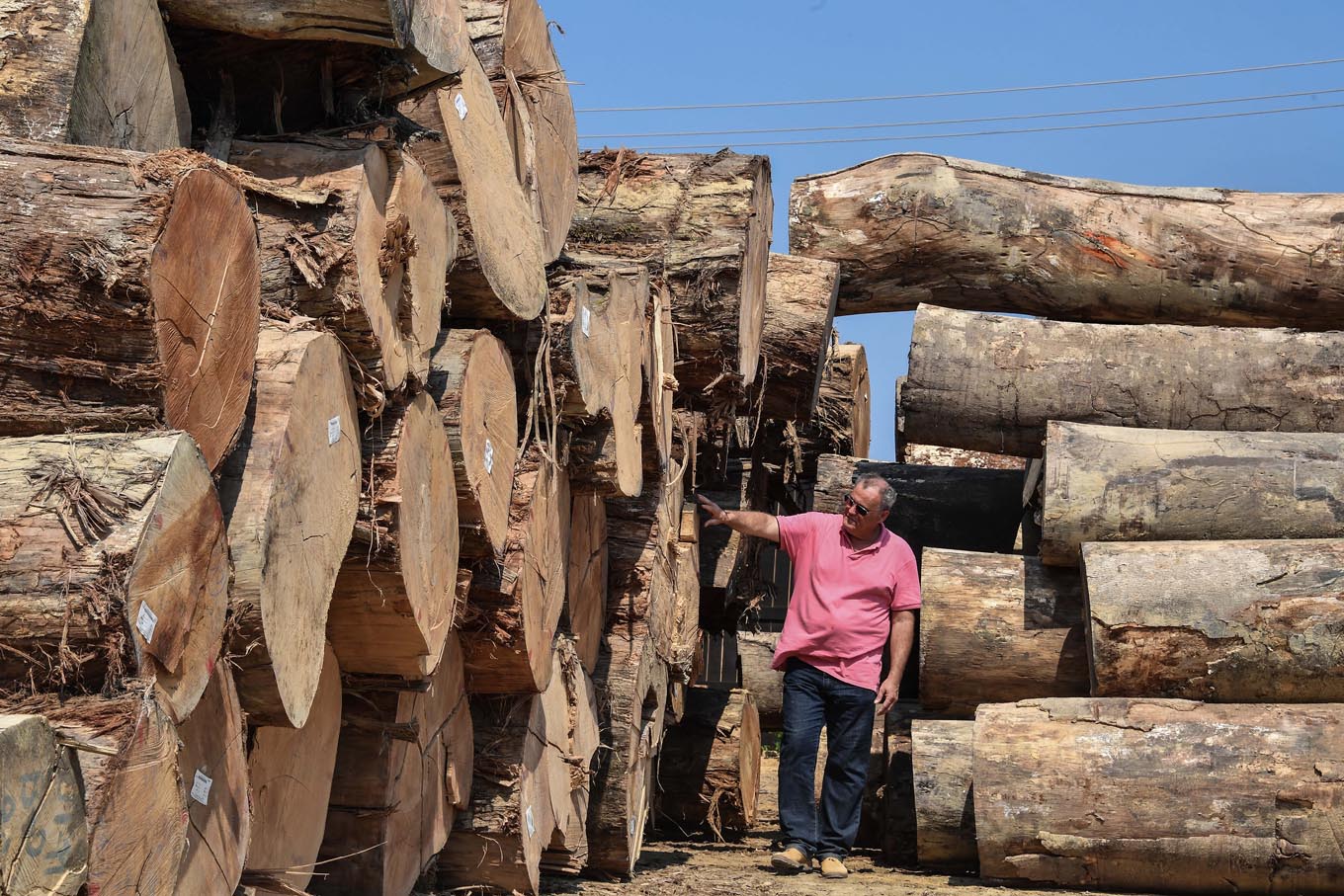 Our Amazon: Brazilians who live in the world's biggest rainforest