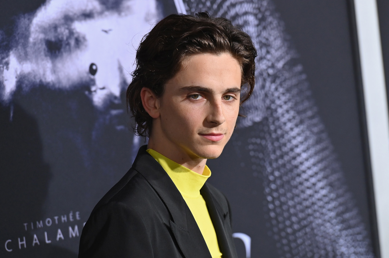 Timothee Chalamet's Premiere Outfit Explodes On Twitter