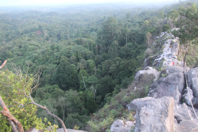 'What about Kalimantan's mighty forests?' Capital city plan raises questions about environment