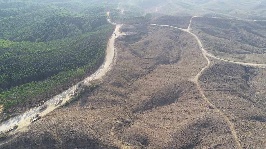 Riot breaks out in new capital location as group calls for enforcement of customary law following deadly brawl