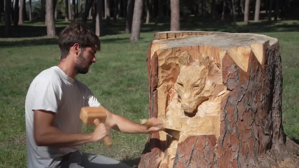Sculptor transforms Rome's dead trees into art