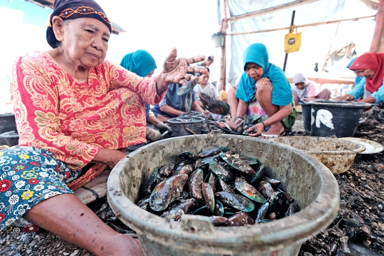 Residents remove shells off of green mussels in the Kamal Muara fishermen's village in North Jakarta on Oct. 16. Residents are complaining about a decline in mussel sales following reports that the bivalve mollusc contained toxic compounds due to severe pollution in Jakarta Bay. 
