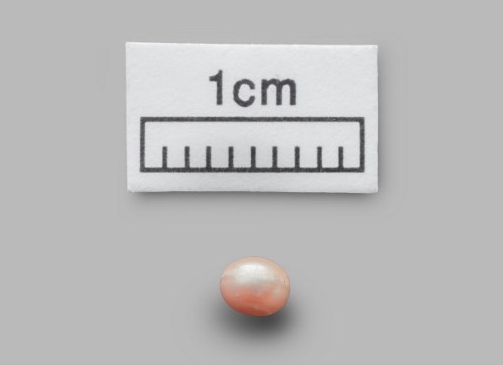 World's oldest pearl found in Abu Dhabi