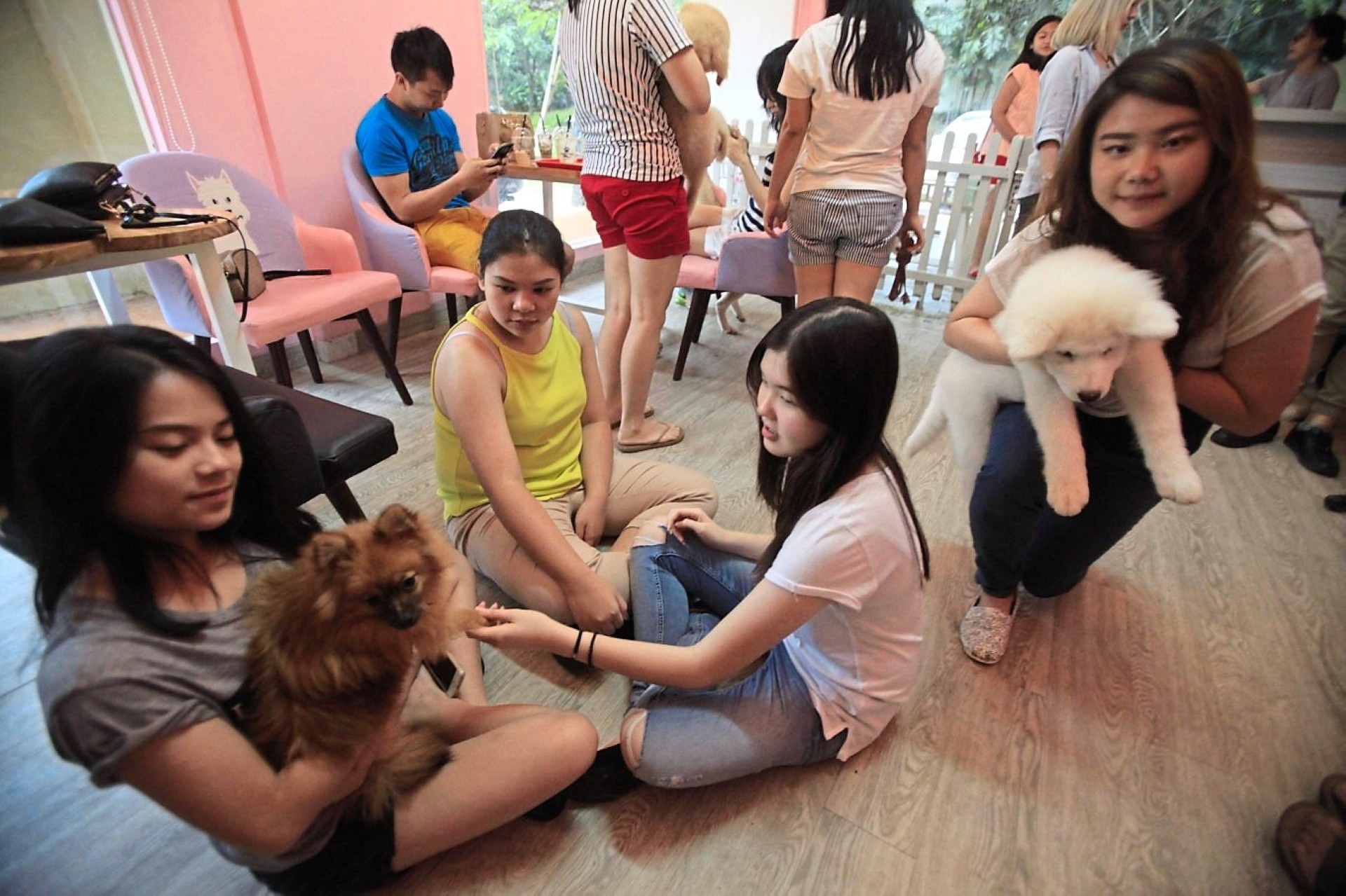 Visitors play with dogs at the Paws and Tails Dog Cafe in Gading Serpong, South Tangerang, Banten.