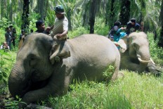 Beyond ‘10 new Balis’: New tourism strategy involves nature conservation