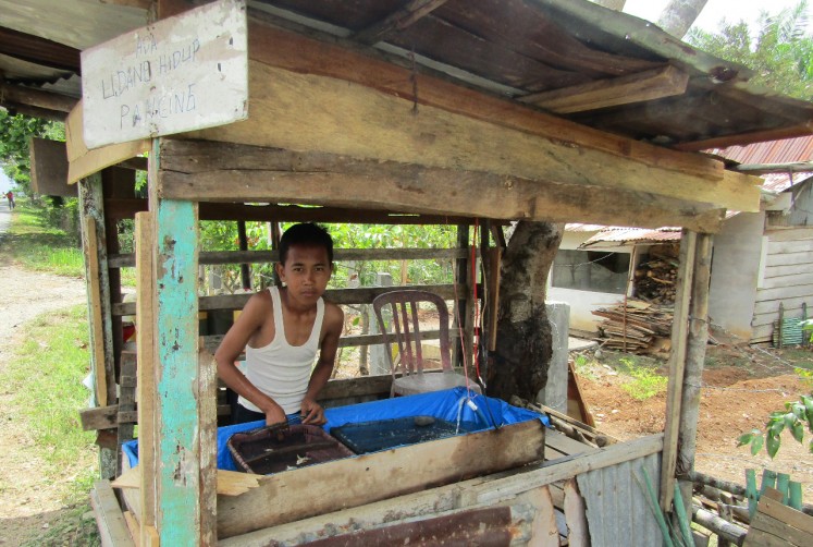 Robi Anto, a junior high school student in Bengkulu, mans a humble stall selling live shrimp for bait, on November 15.