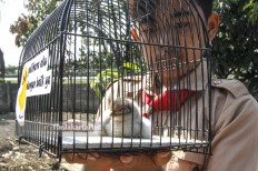 Bandung schoolkids given chickens to get them off their phones