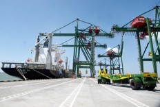 Go-ship: Go or no go?