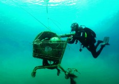 This handout picture taken in 2019 and released on November 30, 2019 by the Aegean Rebreath shows volunteers collecting a rusted shopping cart from the sea during an operation to protect Aegean biodiversity from waste, on the Ionian island of Zakynthos. 