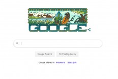 Google highlights Papua's Lorentz National Park on search page