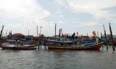 Sembilang National Park villagers struggle to clear the trail for ecotourists