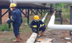 Medco E&P's Temelat gas field goes onstream in South Sumatra
