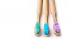 Swedish bamboo toothbrush shows allure of sustainable investing