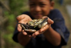 Traditional life in Aceh will stand or fall with special autonomy