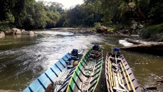 Liu Mulang villagers embrace ecotourism to protect customary forest
