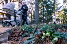 Moscow wonders where winter has gone