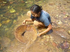 A woman pans for gold in Batang Limun River in Sarolangun regency in 2008. Such traditional practices of gold extraction are rarely found nowadays as local miners are relying on machines to process gold more quickly.  
