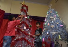 Green Xmas: Holiday celebrated with eco-friendly trees