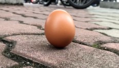 Egg-standing test goes viral as ring-of-fire eclipse crosses Asia